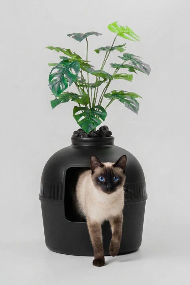 Dekoratif Kedi Tuvaleti/Evi